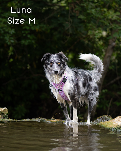 Pink Pines Explor-Air Dog Harness