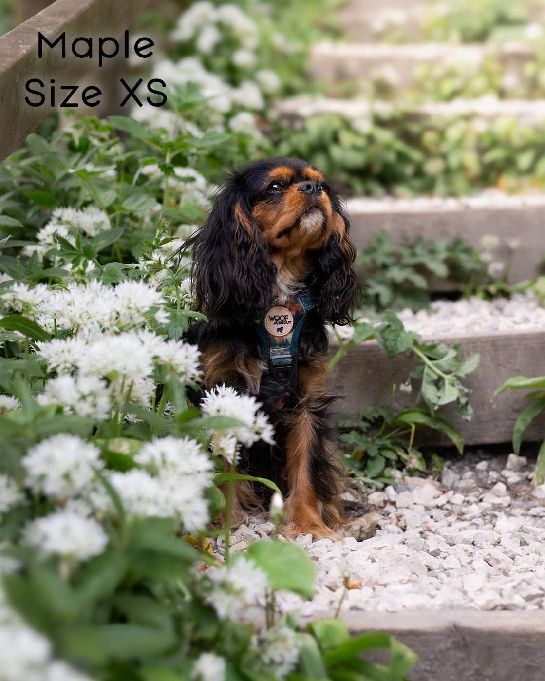 Ember Moors Explor-Air Dog Harness