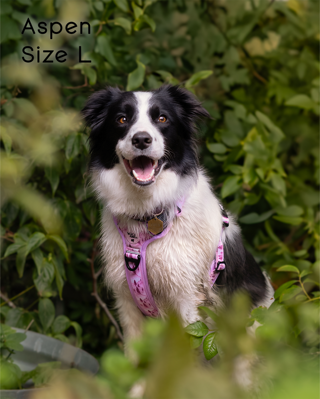 Pink Pines Explor-Air Dog Harness