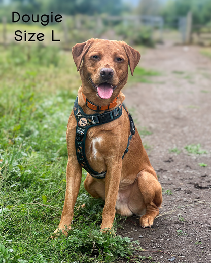 Ember Moors Explor-Air Dog Harness