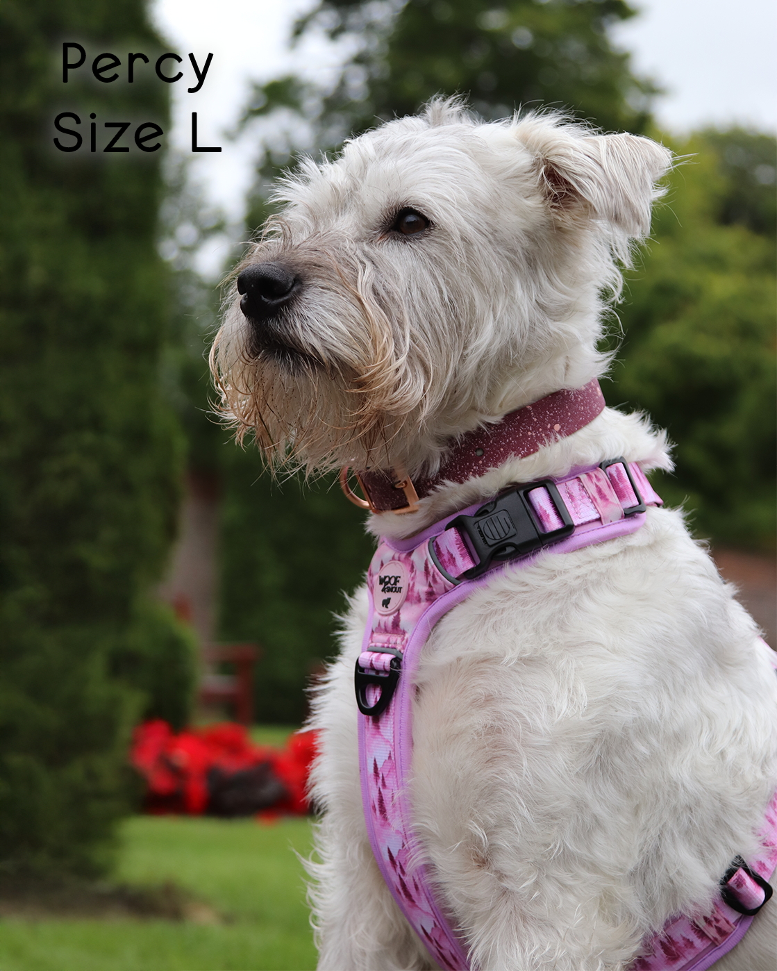 Pink Pines Explor-Air Dog Harness