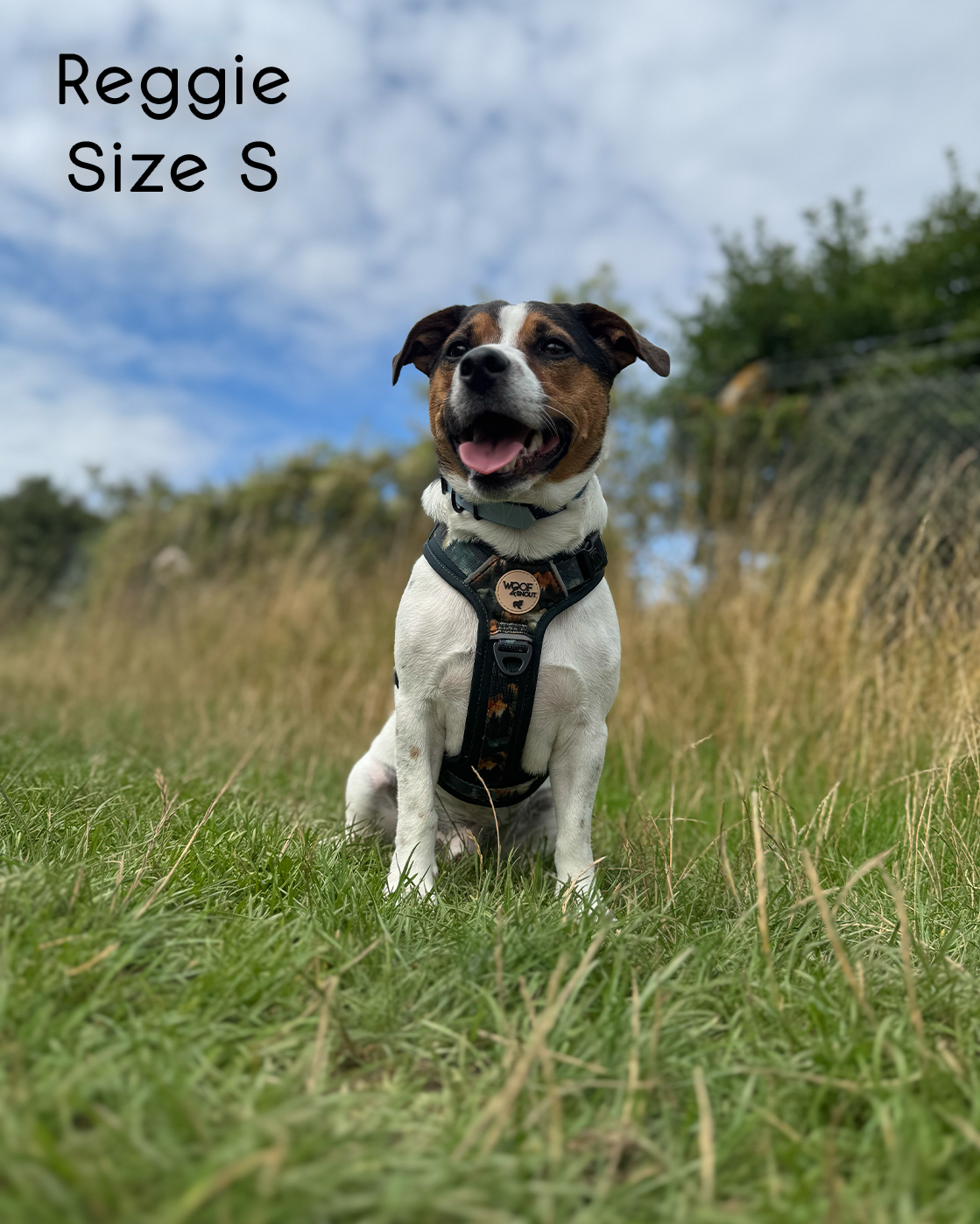 Ember Moors Explor-Air Dog Harness