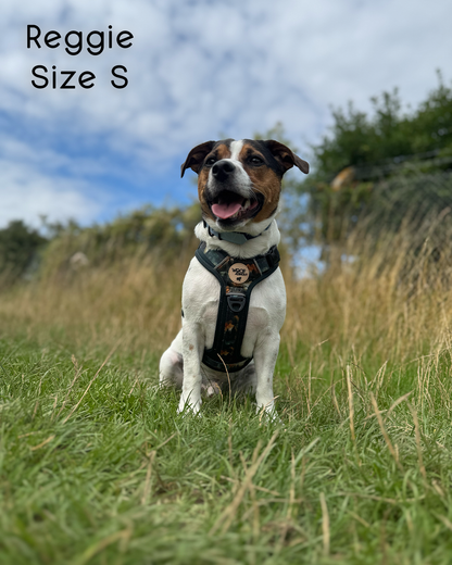 Ember Moors Explor-Air Dog Harness