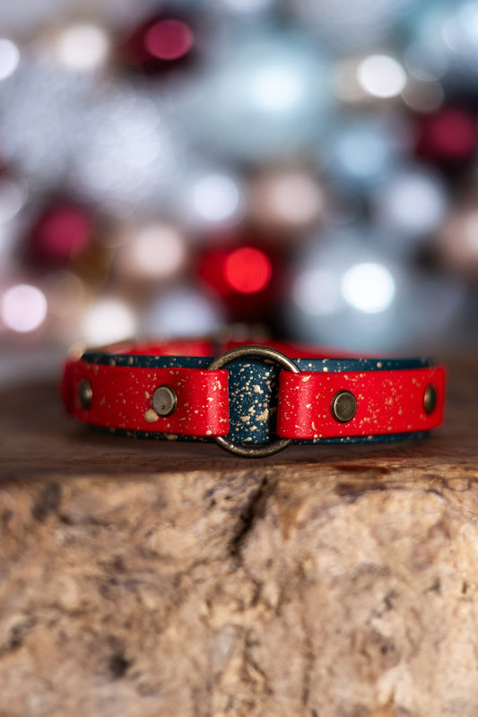 The Nice List - Explorer Collar