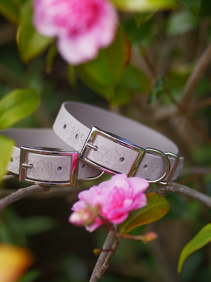 Into the Wilderness (Camping) - Embossed Explorer Collar