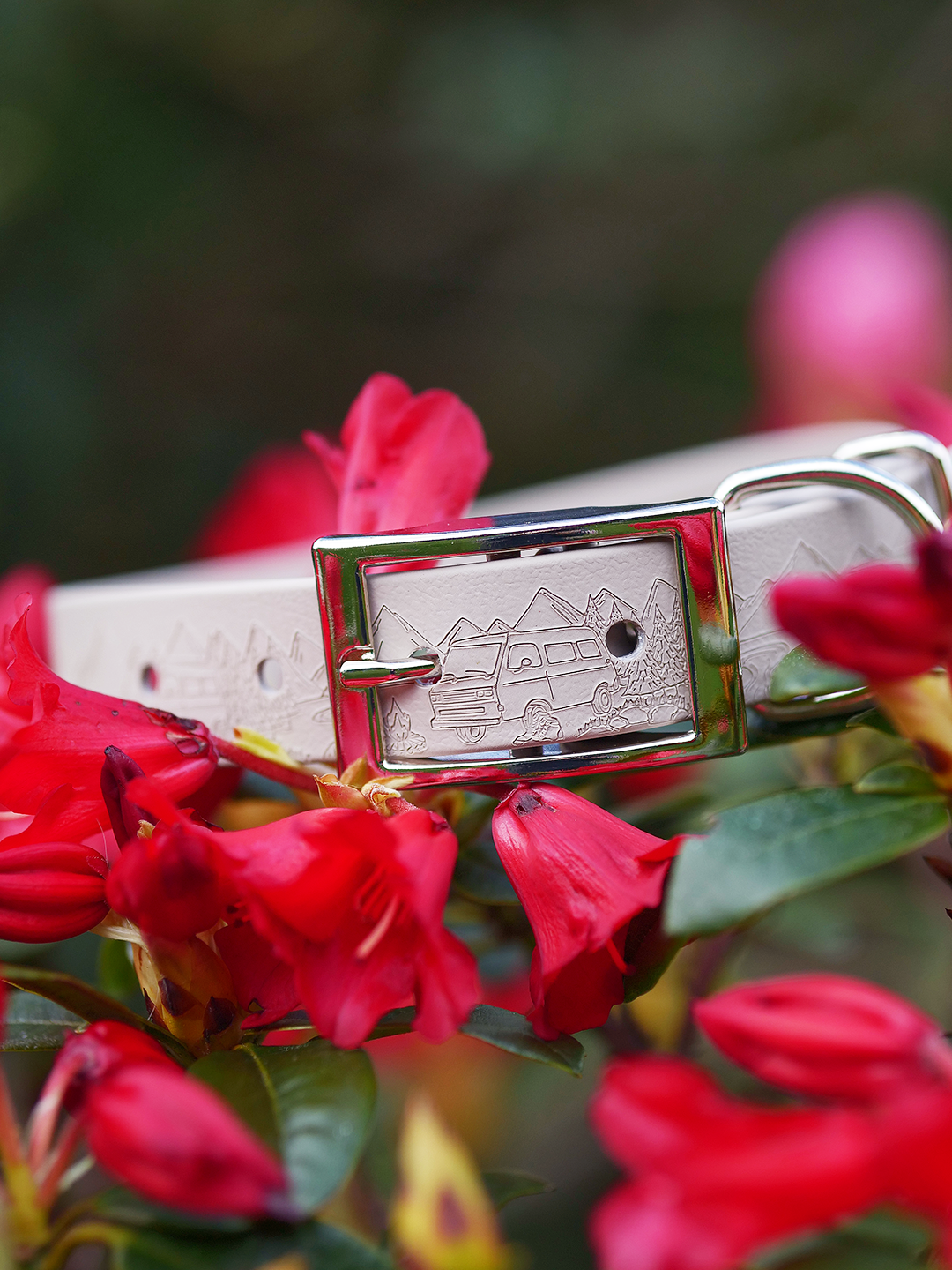 Into the Wilderness (Camping) - Embossed Explorer Collar