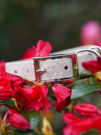 Into the Wilderness (Camping) - Embossed Explorer Collar