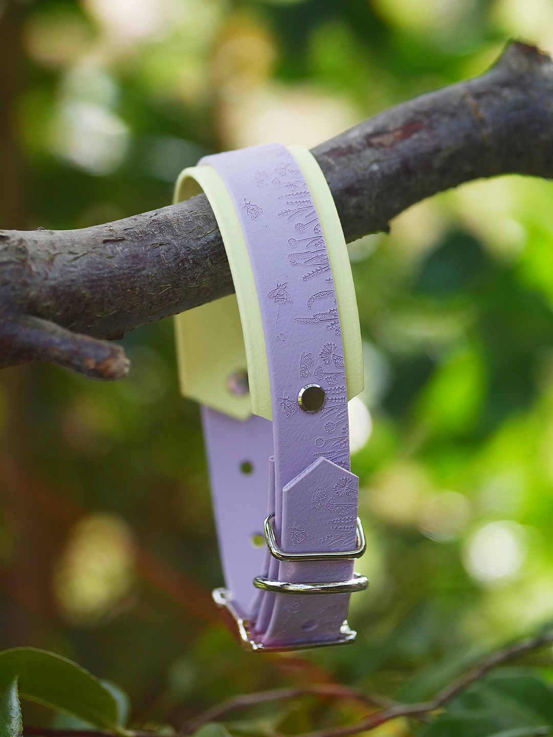 Lilac bee dog collar hanging on tree branch outdoors