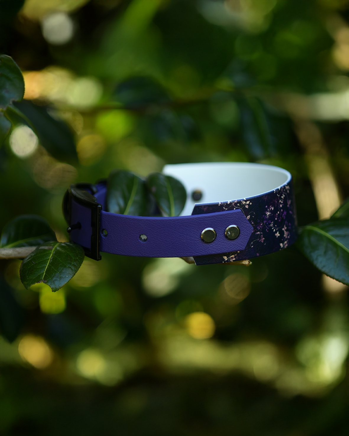 Lottie - Explorer Hound Collar
