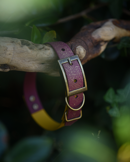 Mulberry Chronicles - S&Sp Dog Collar