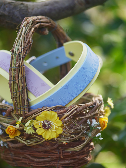 Bees & Blooms (Lilac) - Embossed Hound Collar