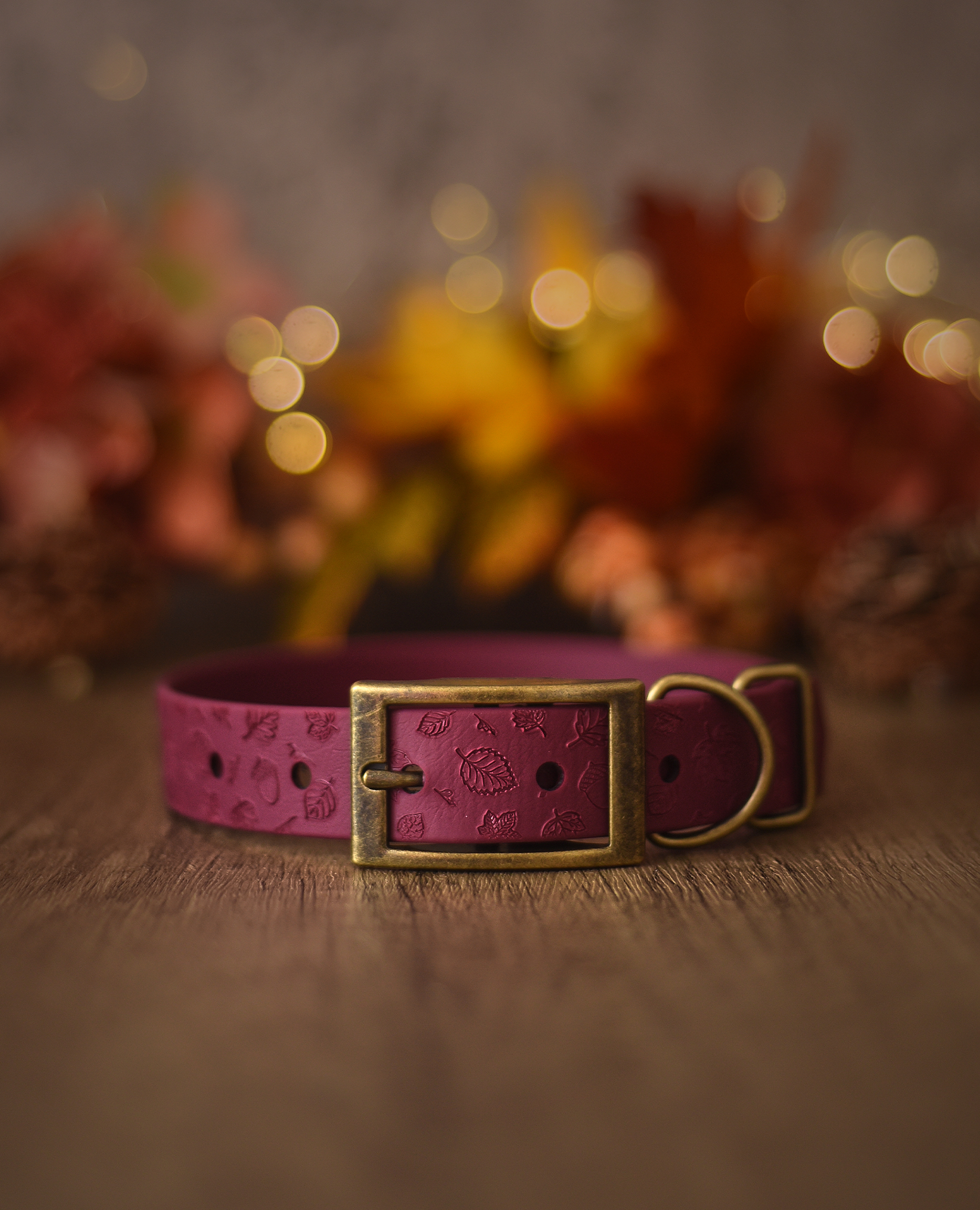 Merlot dog collar embossed with falling leaves, finished with antique gold hardware and styled with autumn foliage