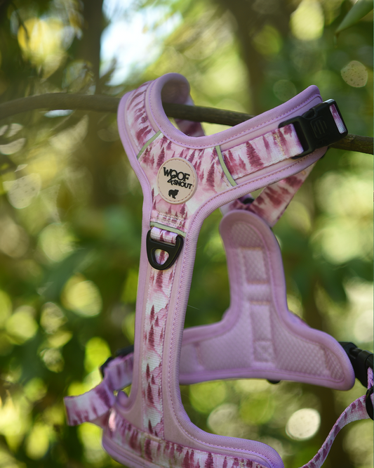 Pink Pines Explor-Air Dog Harness