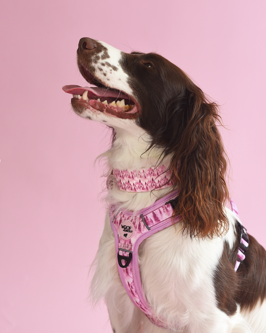 Pink Pines Explor-Air Dog Harness (PREORDER)