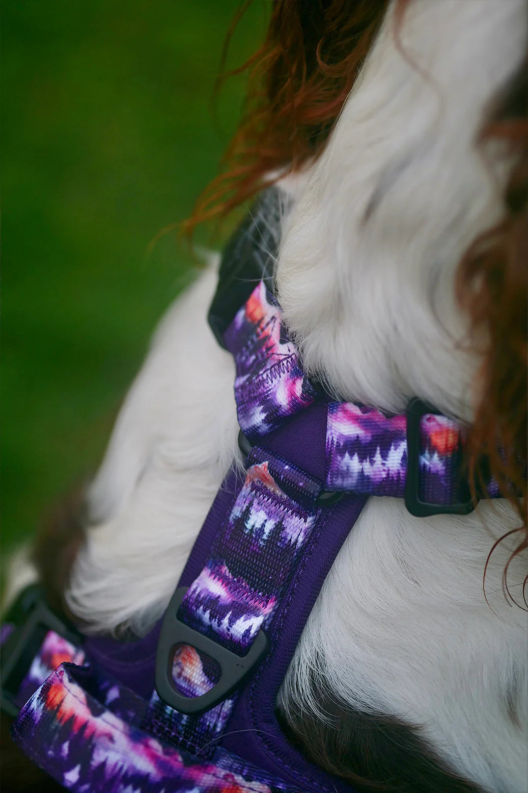 Mystery Harness