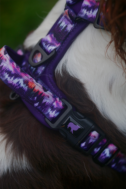 Daybreak Explor-Air Dog Harness (Pre-order)