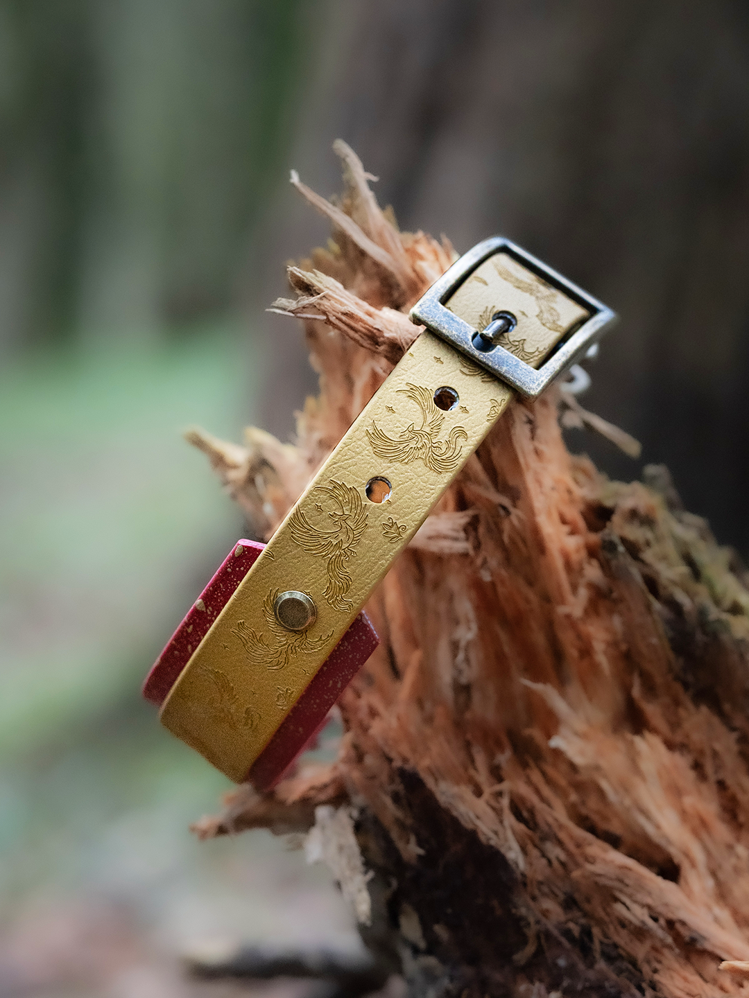 Close up of phoenix embossing on handcrafted Biothane hound collar with antique gold hardware
