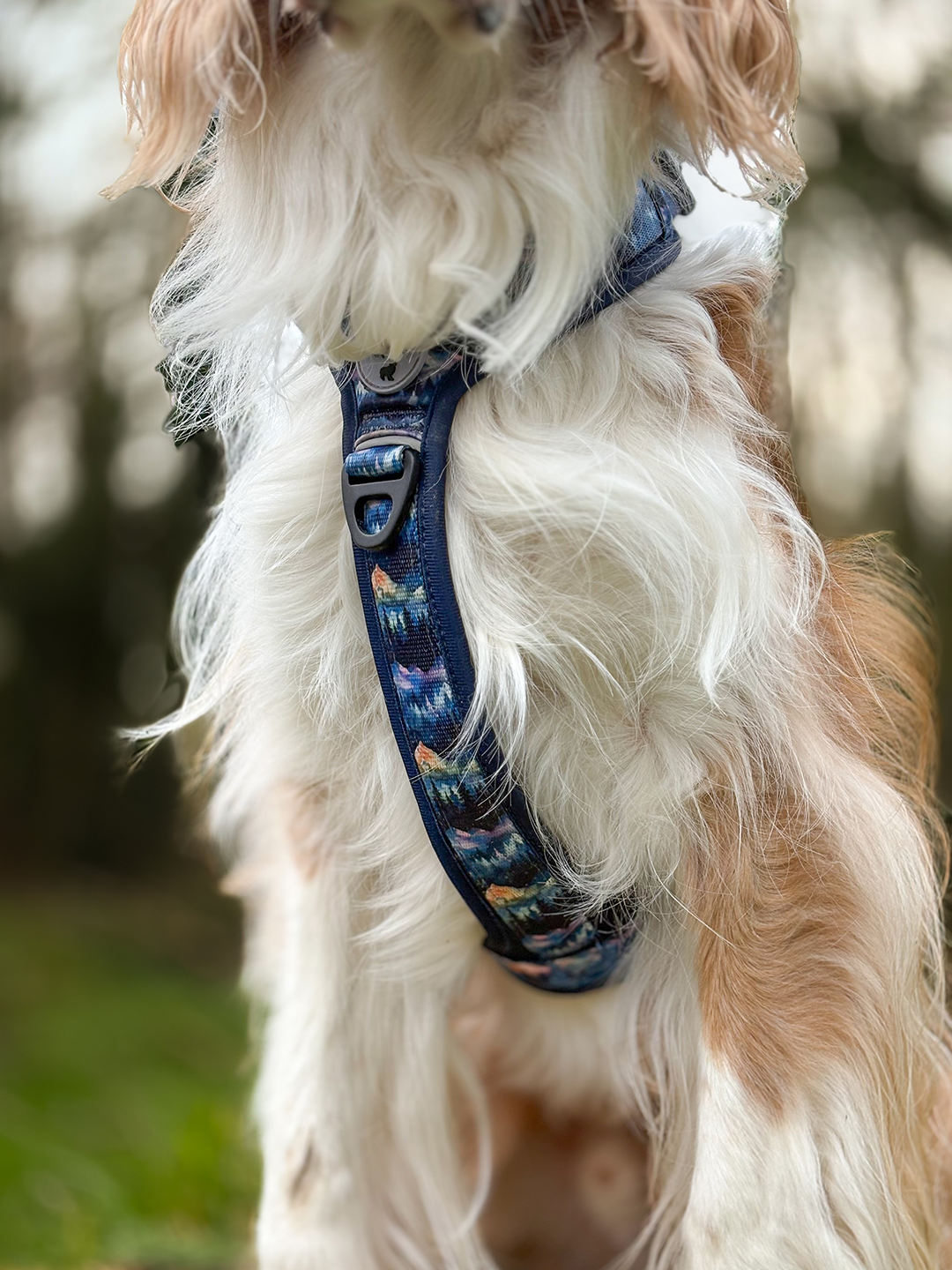 Nightfall Explor-Air Dog Harness