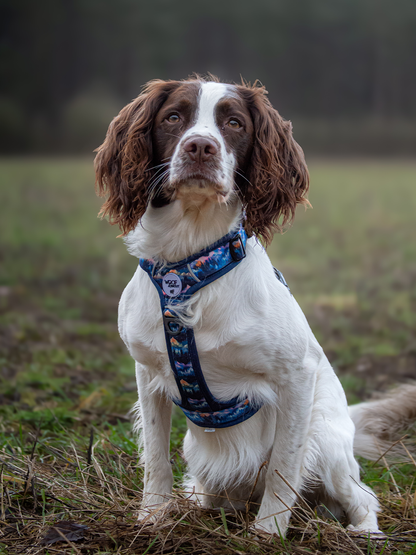 Nightfall Explor-Air Dog Harness