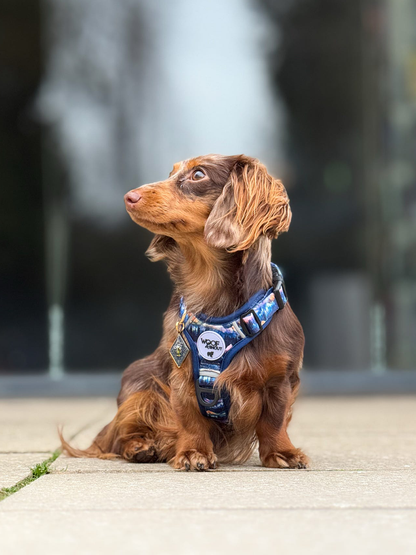 Nightfall Explor-Air Dog Harness