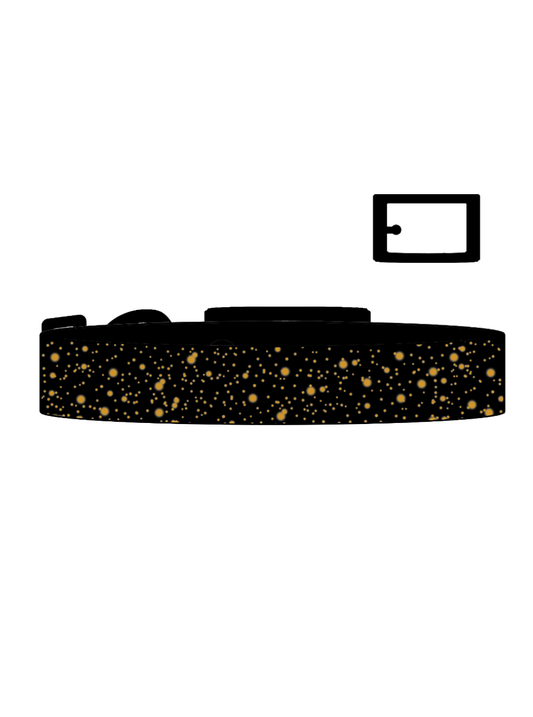 Eclipse x Gold SS Explorer Collar (B)