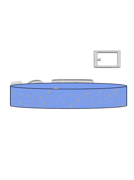 Supernova x Silver SS Explorer Collar (S)