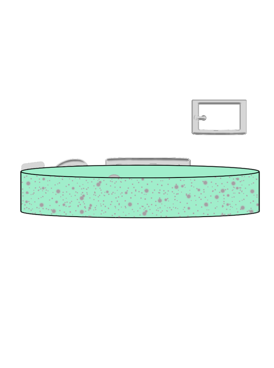 Mint Sea x Silver SS Explorer Collar (S)