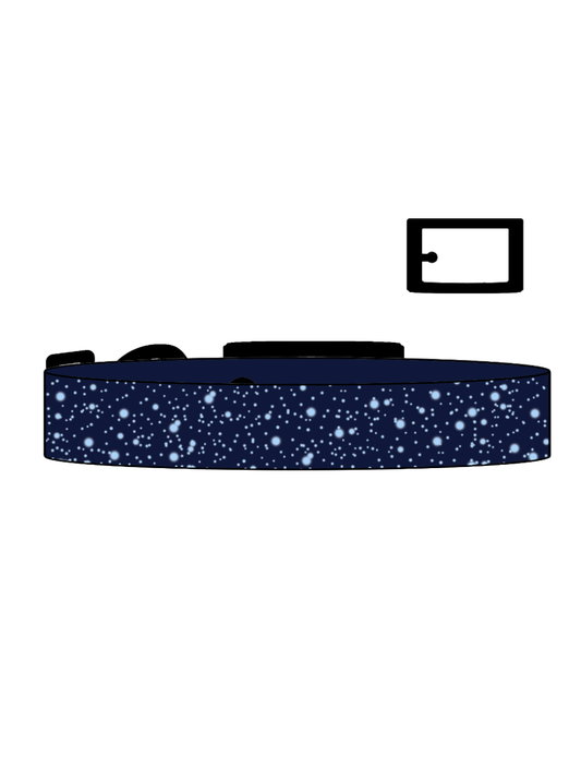 Cosmos x Polar Ice SS Explorer Collar (B)