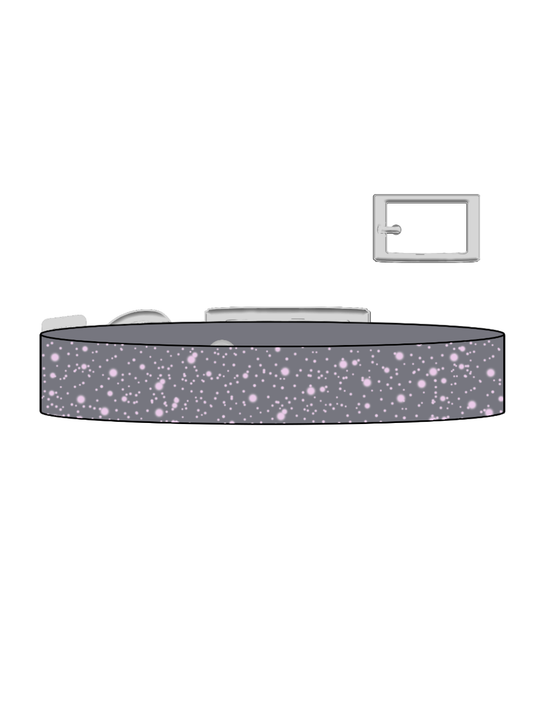 Mist x Lilac SS Explorer Collar (S)