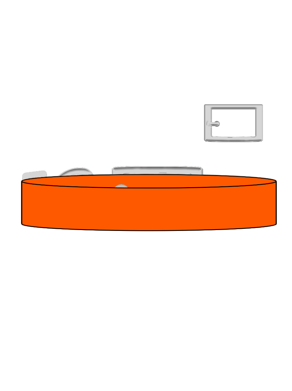 Tangerine - Explorer Collar