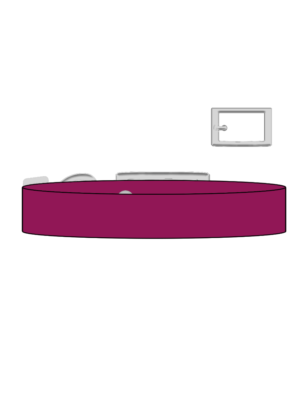 Magenta - Explorer Collar