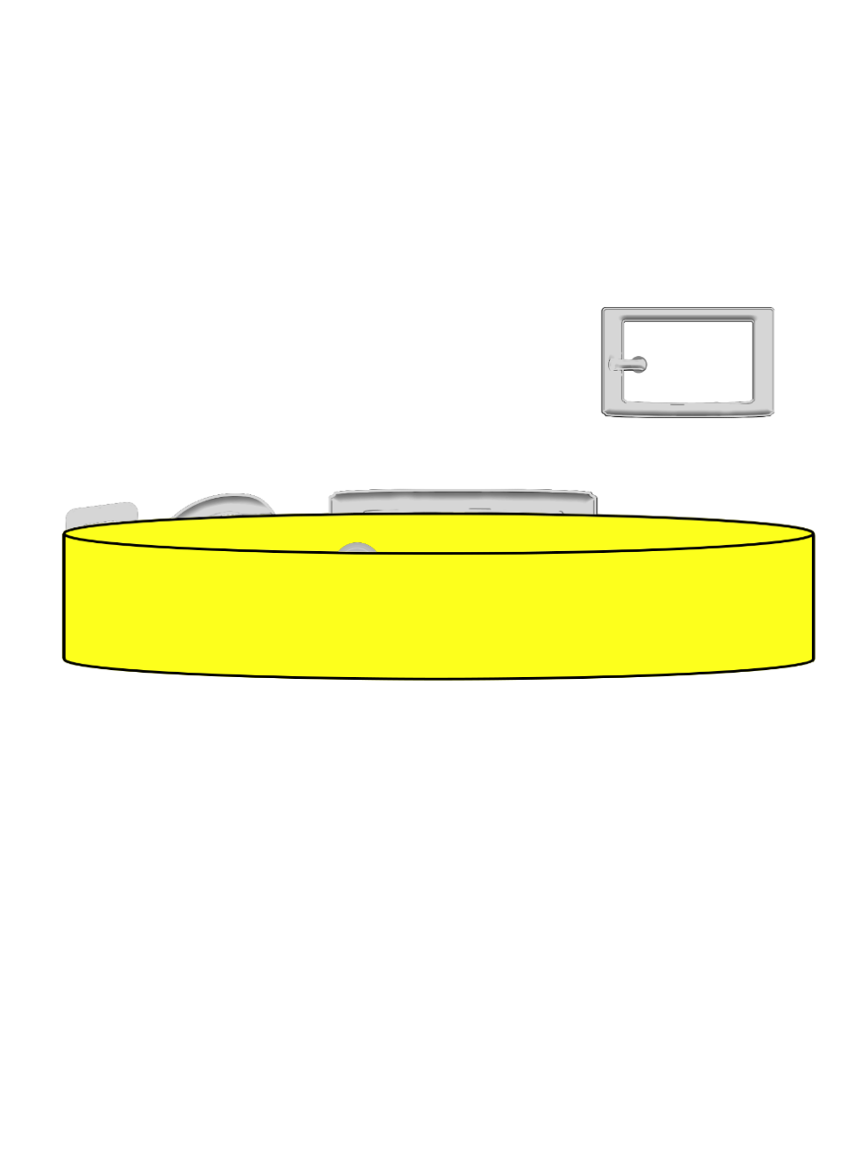 Neon Yellow - Explorer Collar