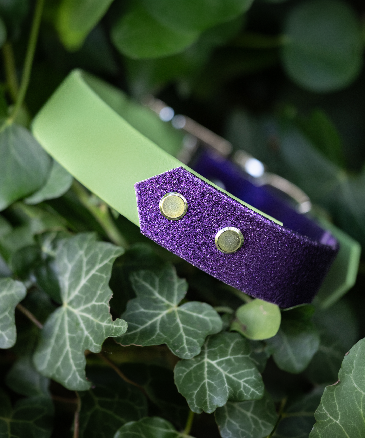 Space Ranger S&S Explorer Lite Collar