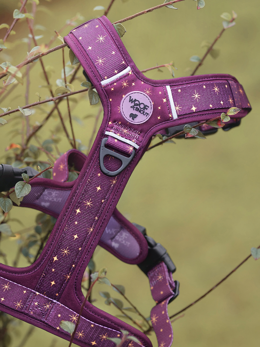 Starlight Explor-Air Dog Harness (Pre-Order)