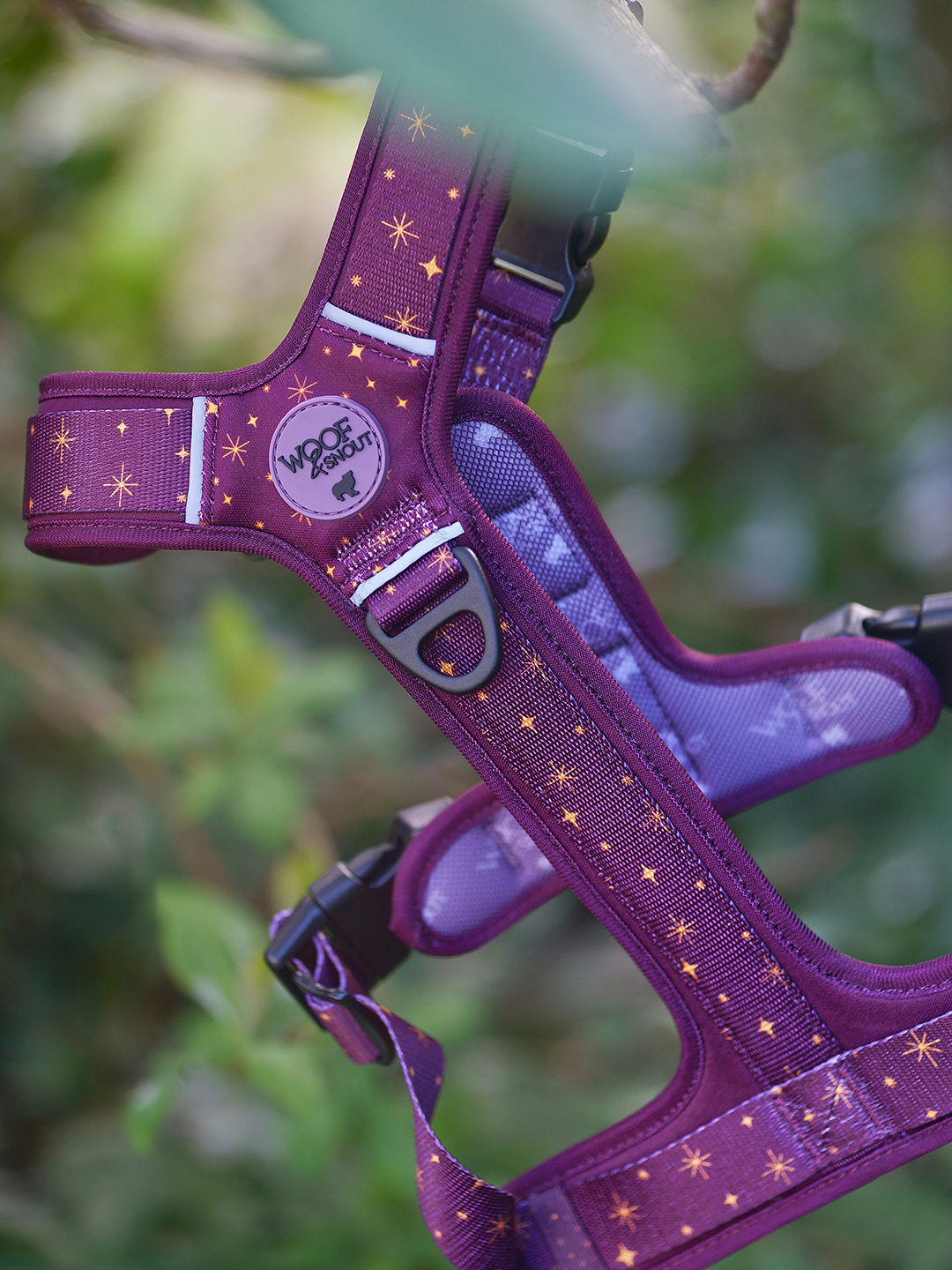 Starlight Explor-Air Dog Harness (Pre-Order)