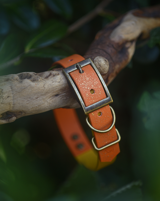 Topaz Tales - S&Sp Dog Collar