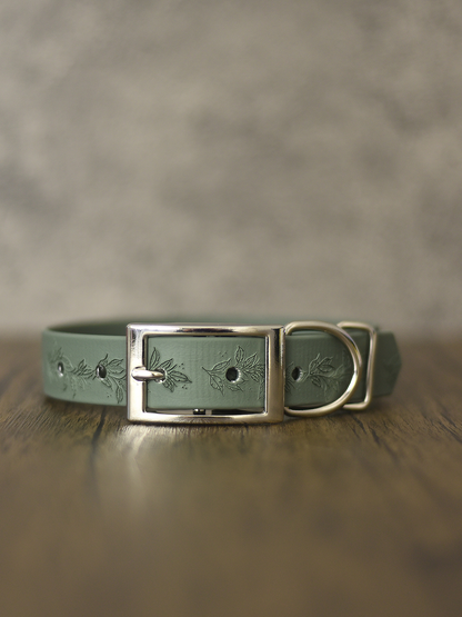 Woodland Charm (Moss) - Embossed Explorer Collar