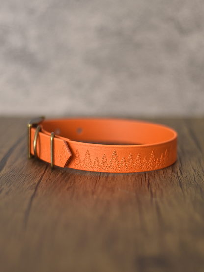Forest Haven (Ember Moors) - Embossed Explorer Collar