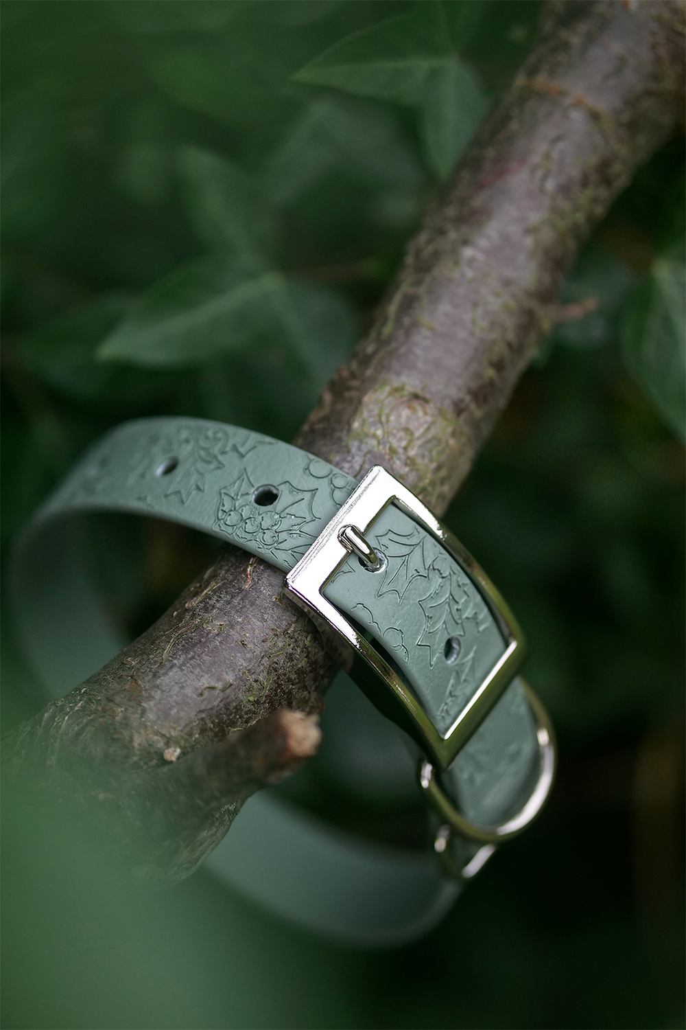 Holly Bush - Embossed Explorer Collar