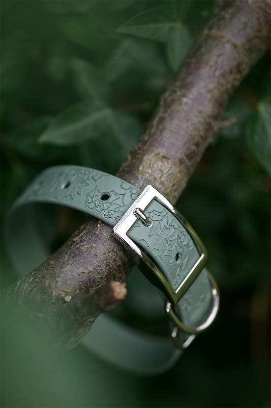 Holly Bush - Embossed Explorer Collar