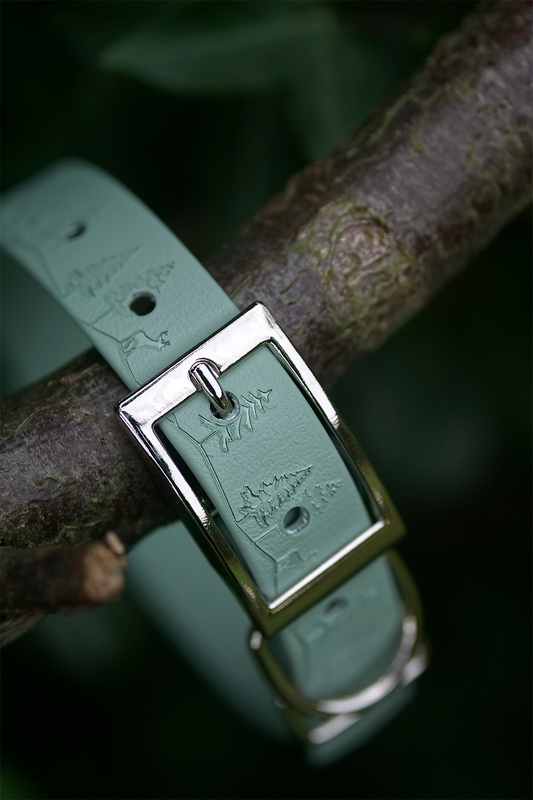 Fawn Hollow - Embossed Explorer Collar