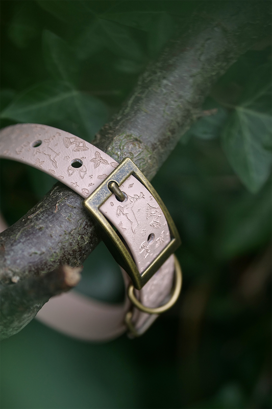 Christmas Cookie - Embossed Explorer Collar