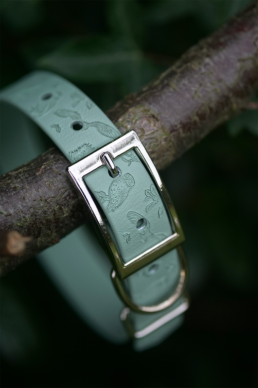 Night Owl - Embossed Explorer Collar