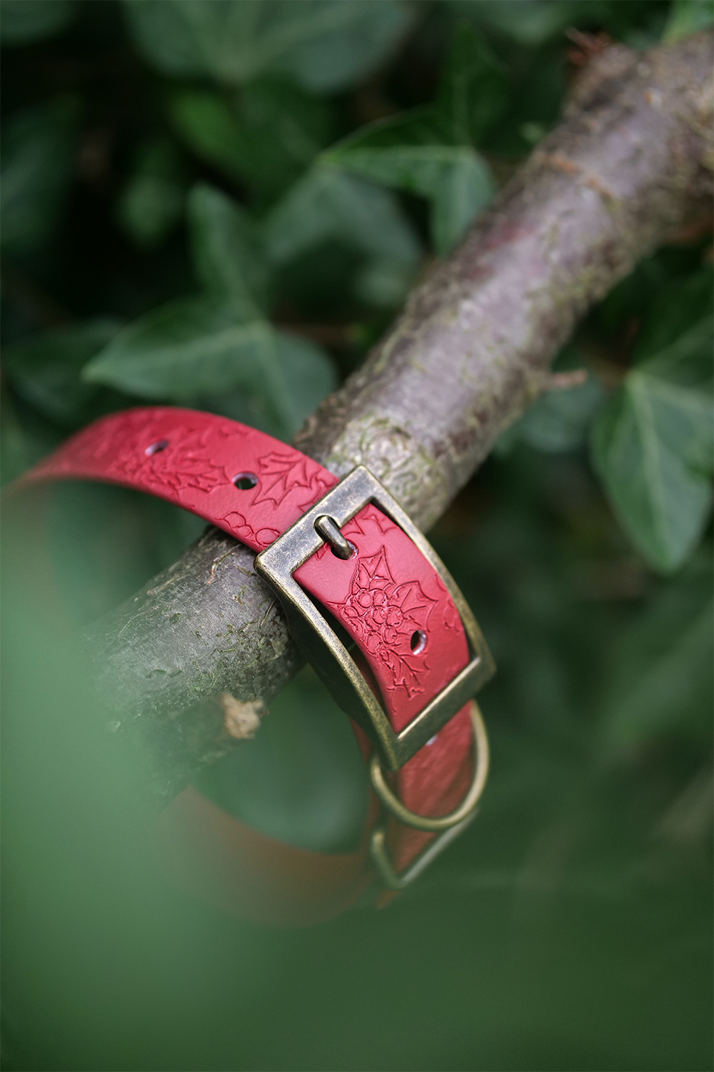Holly Bush - Embossed Explorer Collar