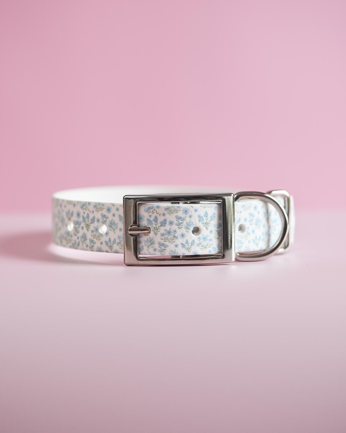 Memory Lane - Explorer Collar