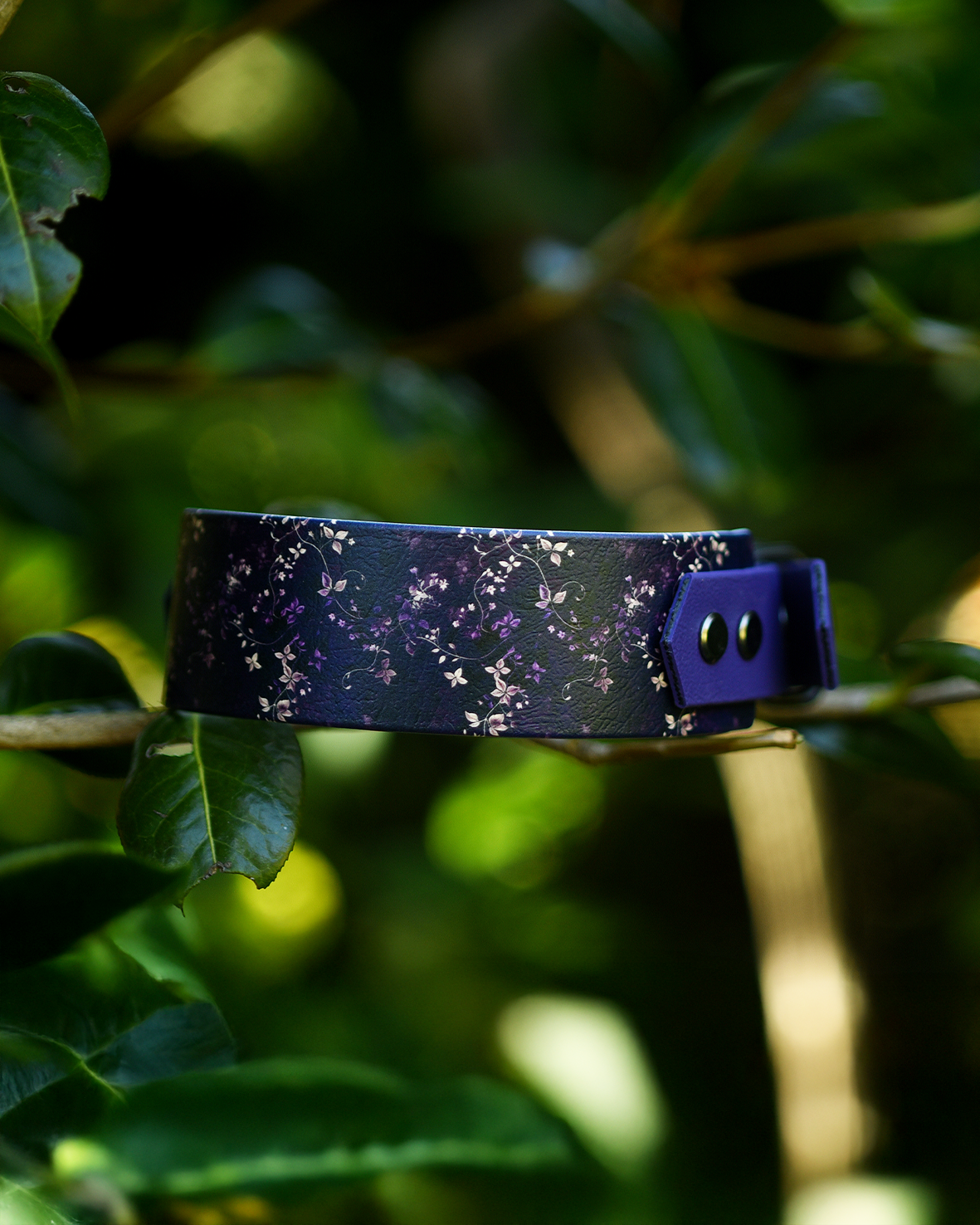 Lottie - Explorer Hound Collar
