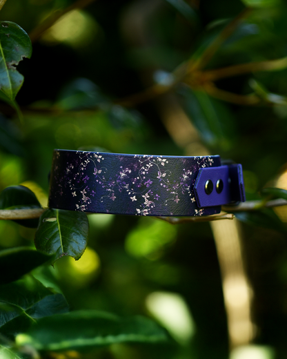 Lottie - Explorer Hound Collar