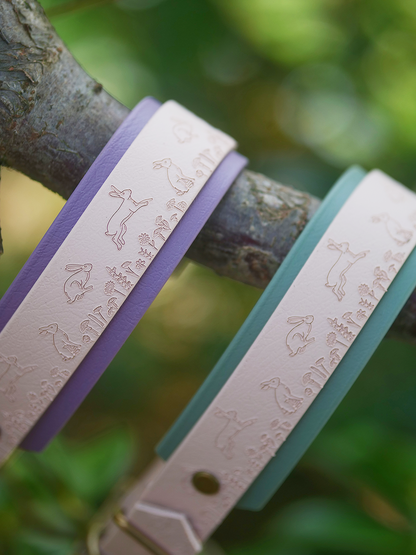 Wild Hare dog collar photographed outdoors in spring countryside setting
