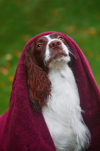 Merlot Luxury Dog Towel