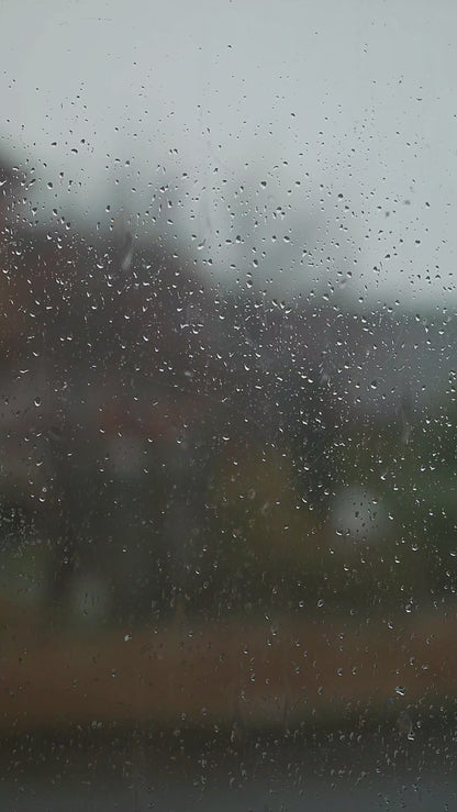 Lilac Luxury Dog Towel